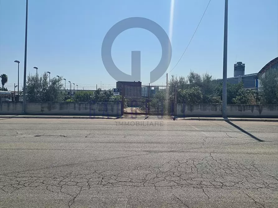 Immagine 2 di Terreno edificabile in vendita  in via finizia a Bisceglie