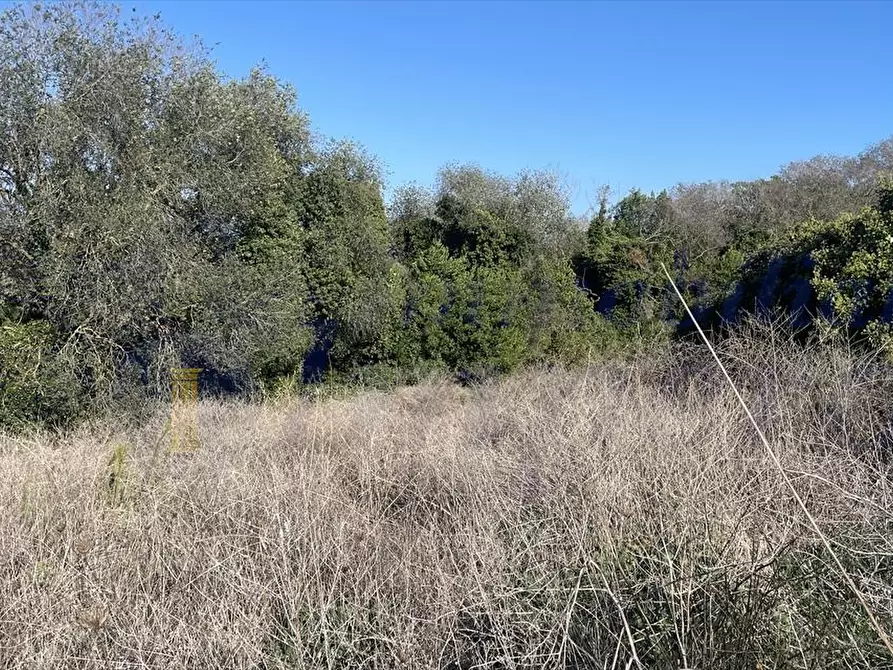 Immagine 4 di Terreno agricolo in vendita  in Via dei Rutuli a Aprilia