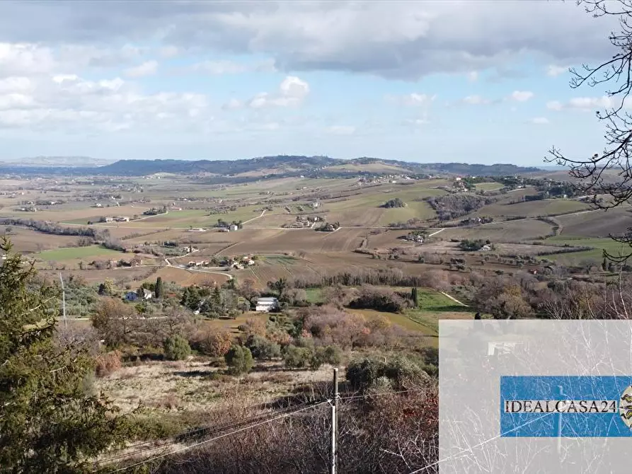 Immagine 5 di Casa indipendente in vendita  in Pollenza C.da Fontangela a Pollenza