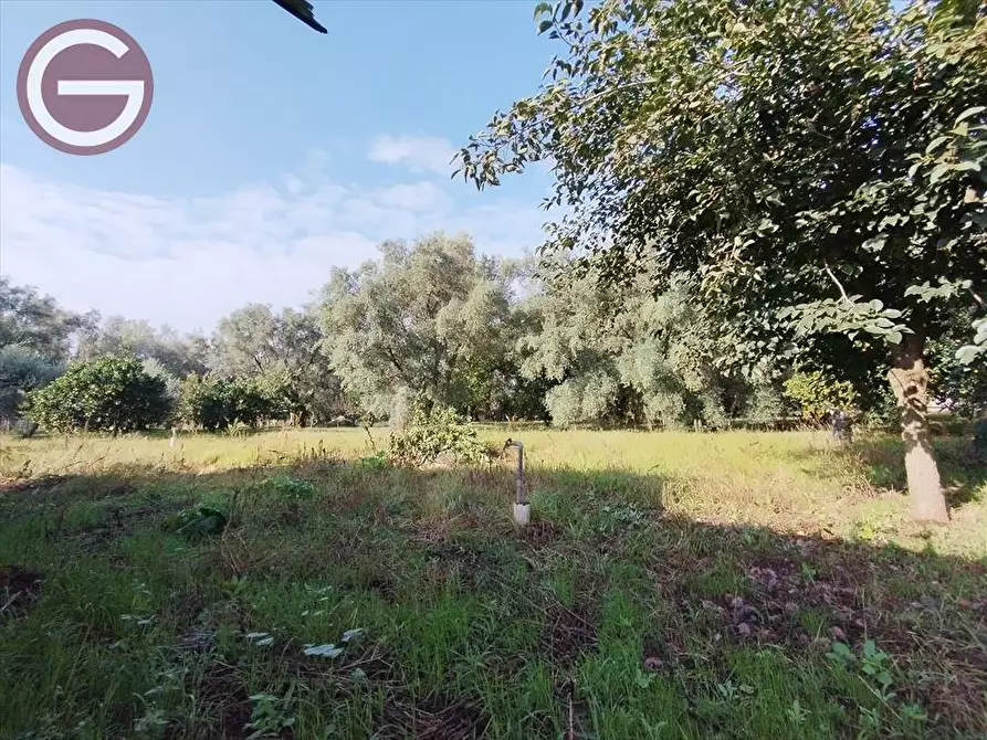 Immagine 12 di Casa indipendente in vendita  a Taurianova