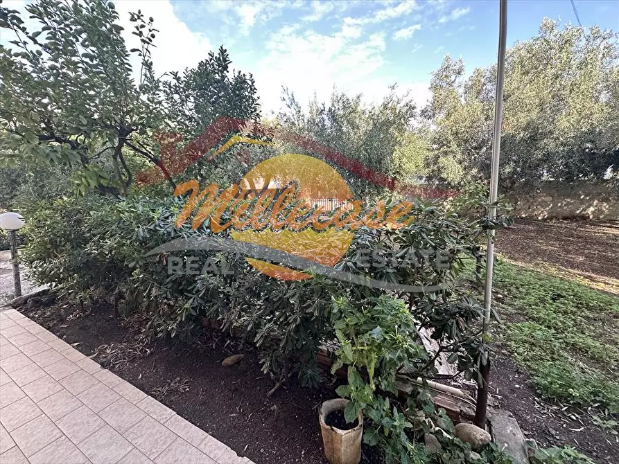 Immagine 29 di Villa in vendita  in VIA FRANCA MARIA GIANNA a Siracusa