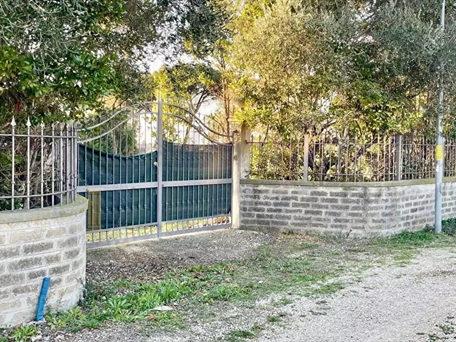 Immagine 6 di Terreno agricolo in vendita  in Via Sant'Andrea Apostolo a Pomezia