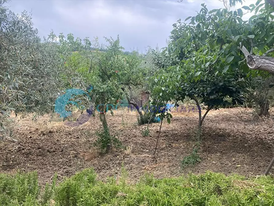 Immagine 3 di Chalet in vendita  in C.da Canalotto snc a Lercara Friddi