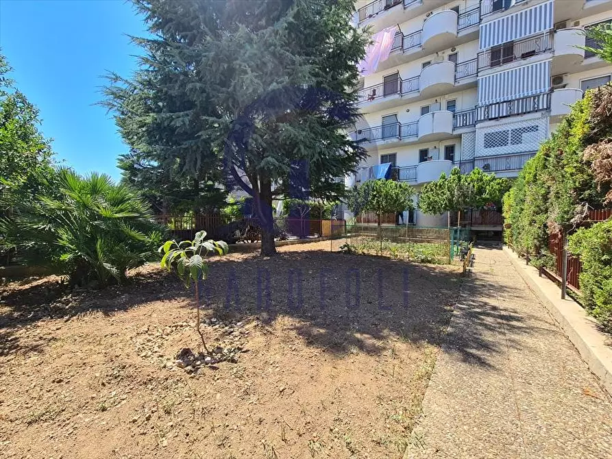 Immagine 22 di Appartamento in vendita  in via Nicola Consiglio a Bisceglie