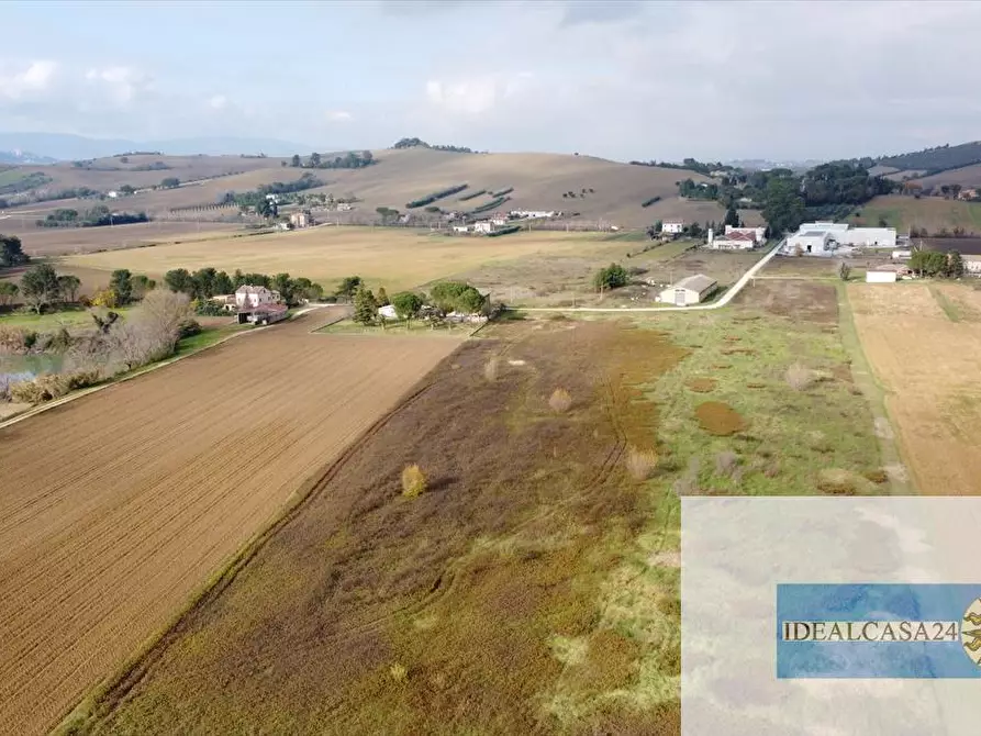 Immagine 13 di Terreno agricolo in vendita  in Treia C.da Chiaravalle snc a Treia