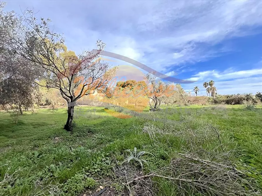 Immagine 4 di Villa in vendita  in VIA DELLE CARAVELLE a Siracusa