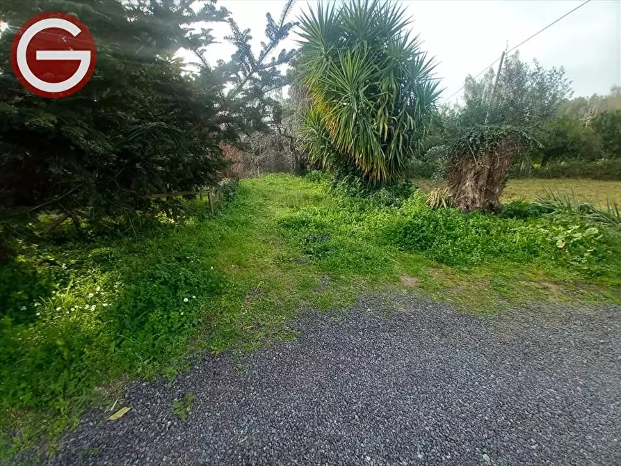 Immagine 5 di Terreno agricolo in vendita  a Cinquefrondi