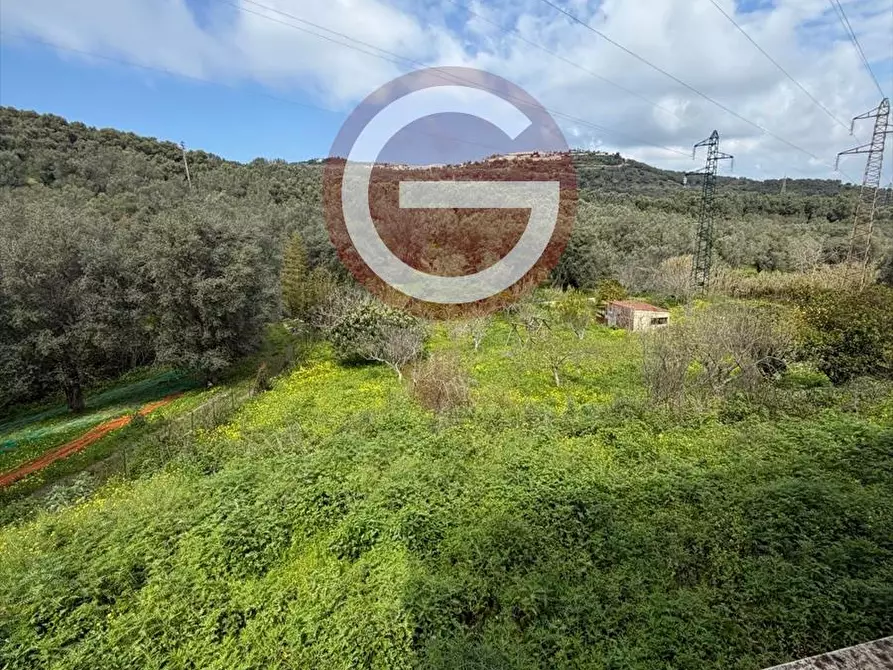 Immagine 14 di Locale commerciale in affitto  a Palmi