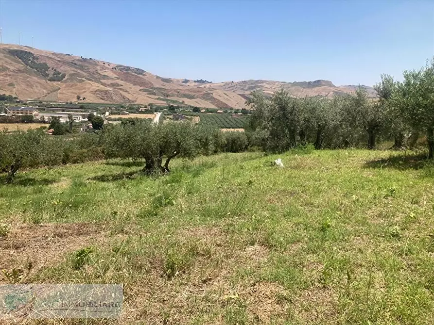 Immagine 5 di Terreno agricolo in vendita  in SP 79 a Castronovo Di Sicilia