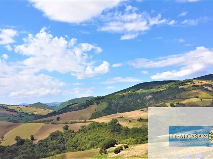 Immagine 5 di Terreno edificabile in vendita  a Treia