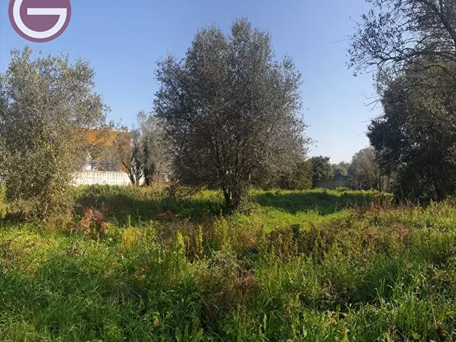 Immagine 4 di Terreno industriale in vendita  a Taurianova