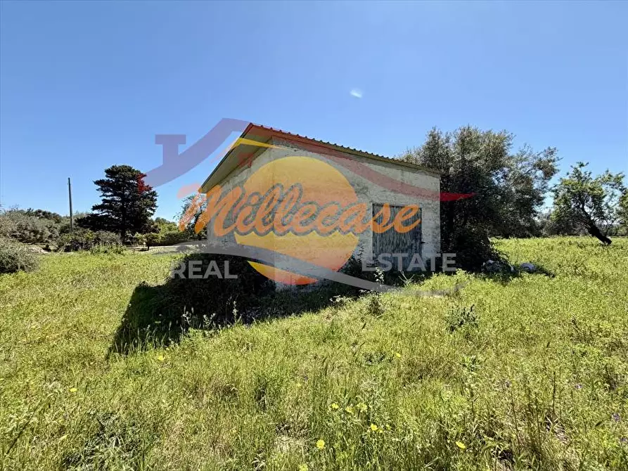 Immagine 4 di Villa in vendita  in contrada monasteri a Floridia