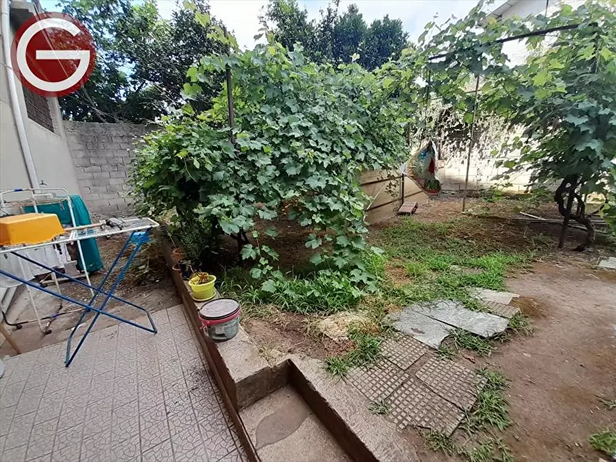 Immagine 8 di Magazzino in affitto  a Cinquefrondi