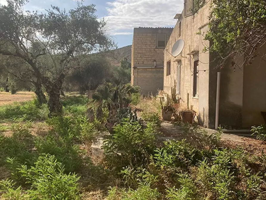 Immagine 5 di Terreno industriale in vendita  in c.da Piani Vicari a Vicari