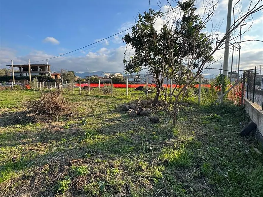 Immagine 4 di Terreno edificabile in vendita  a Taurianova