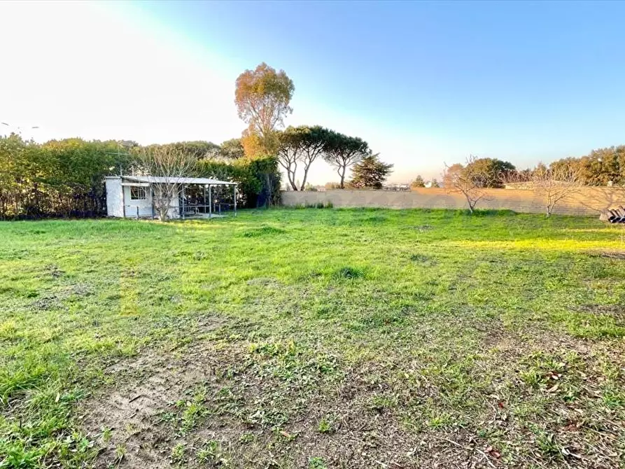 Immagine 5 di Terreno agricolo in vendita  in Via Sant'Andrea Apostolo a Pomezia