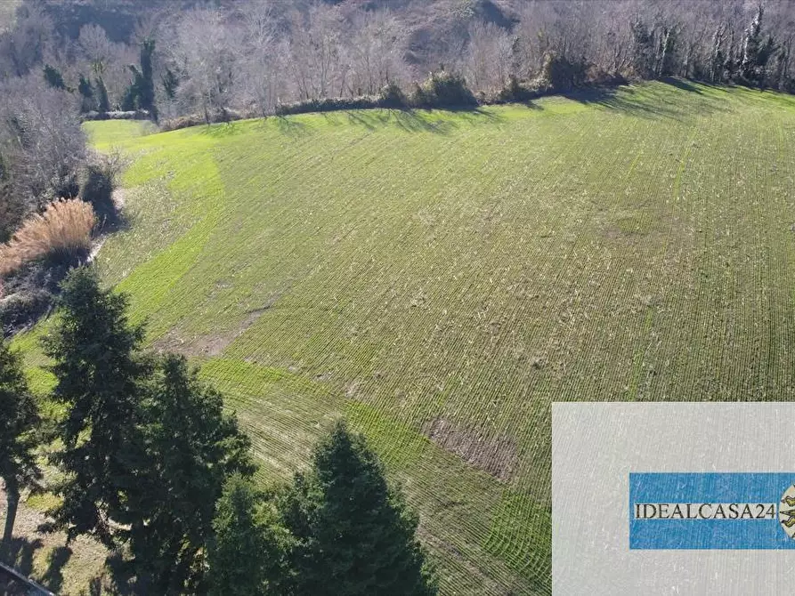 Immagine 1 di Terreno agricolo in vendita  in camporotondo di fiastrone c.da colvenale n. 7  a Camporotondo Di Fiastrone