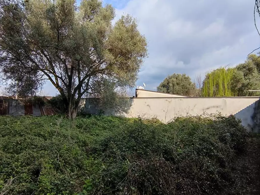 Immagine 13 di Terreno agricolo in vendita  a Taurianova