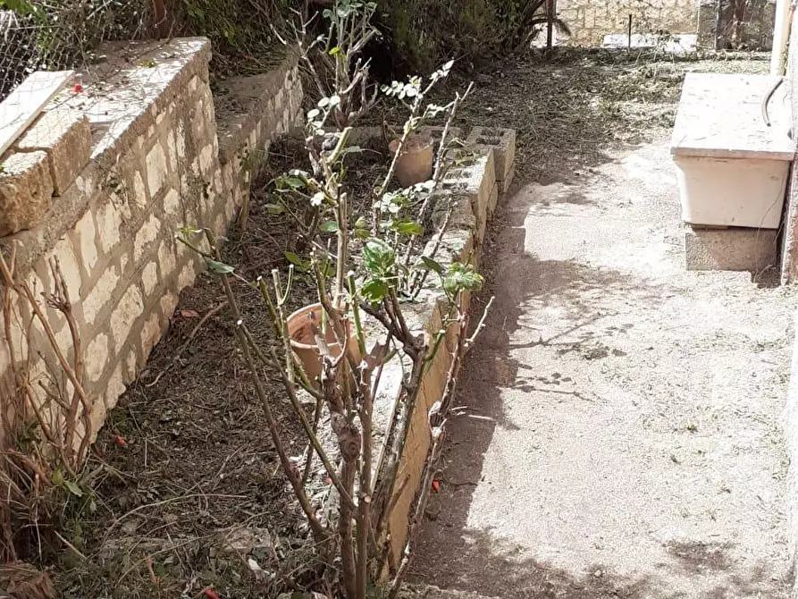 Immagine 17 di Appartamento in vendita  in Via Aldo Moro n 7 a Prizzi
