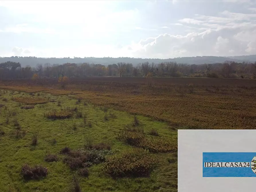 Immagine 22 di Terreno agricolo in vendita  in Treia C.da Chiaravalle snc a Treia