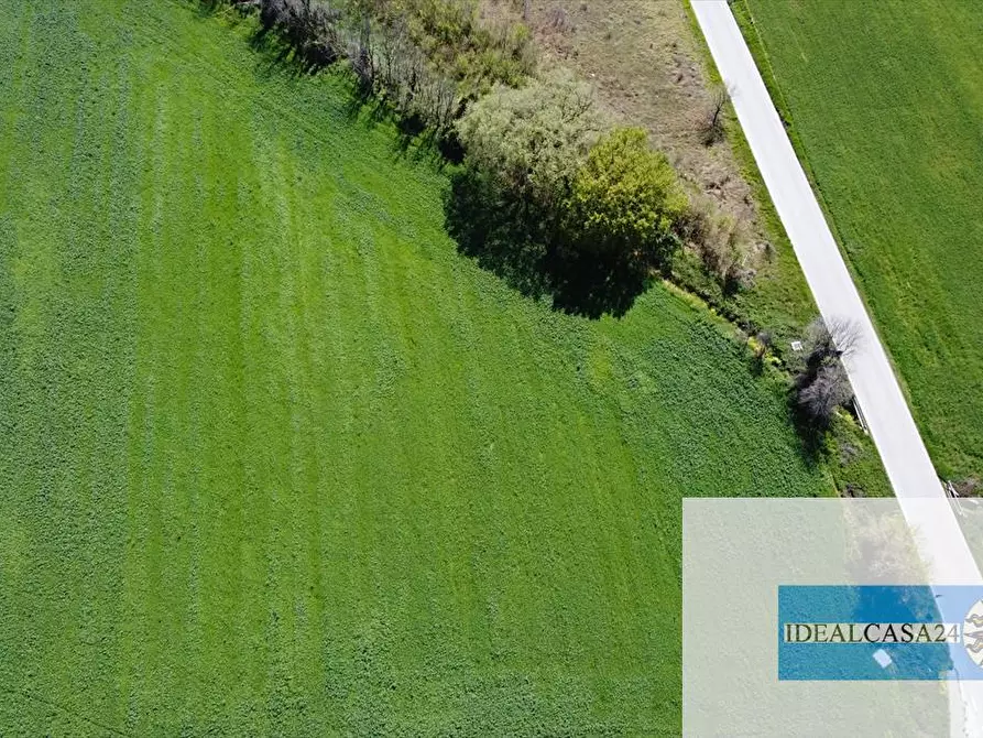 Immagine 4 di Terreno edificabile in vendita  in Tolentino Via Marco Biagi  a Tolentino