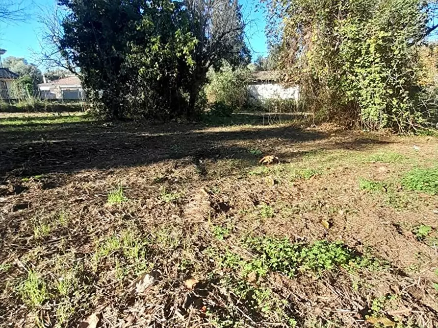 Immagine 3 di Terreno edificabile in vendita  a Taurianova