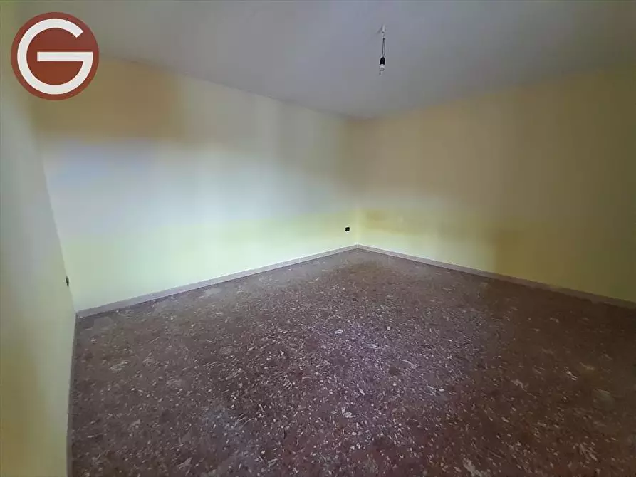 Immagine 14 di Casa indipendente in vendita  a Cittanova