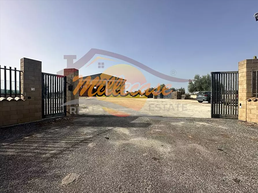 Immagine 18 di Capannone industriale in vendita  in via Elorina a Siracusa