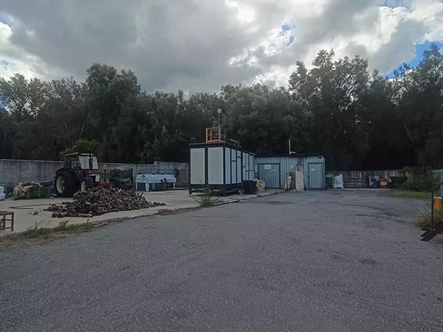 Immagine 7 di Capannone industriale in affitto  a Taurianova
