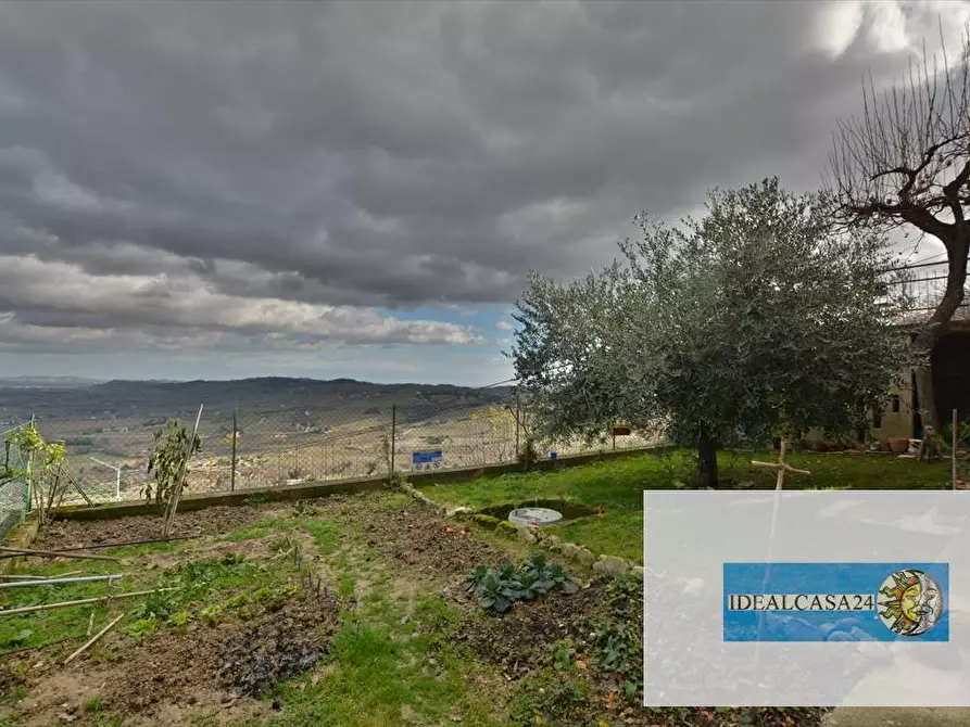 Immagine 14 di Casa indipendente in vendita  in Pollenza C.da Fontangela a Pollenza