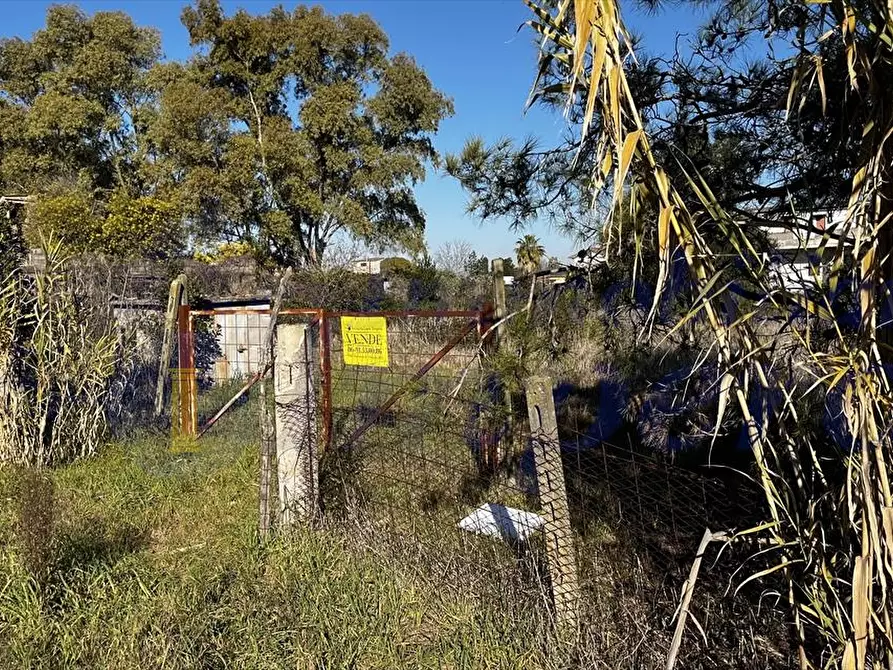 Immagine 2 di Terreno edificabile in vendita  a Aprilia