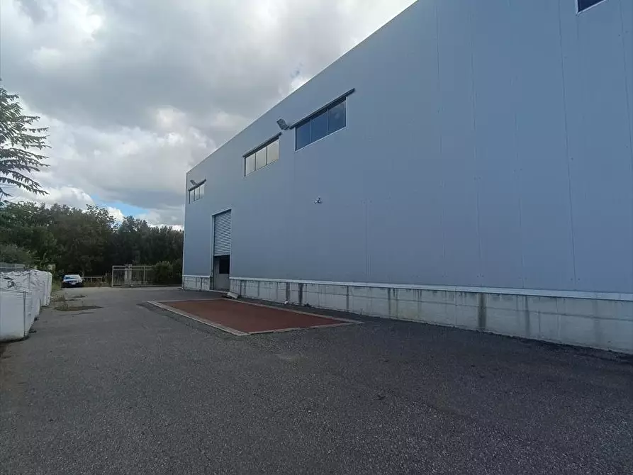 Immagine 3 di Capannone industriale in affitto  a Taurianova
