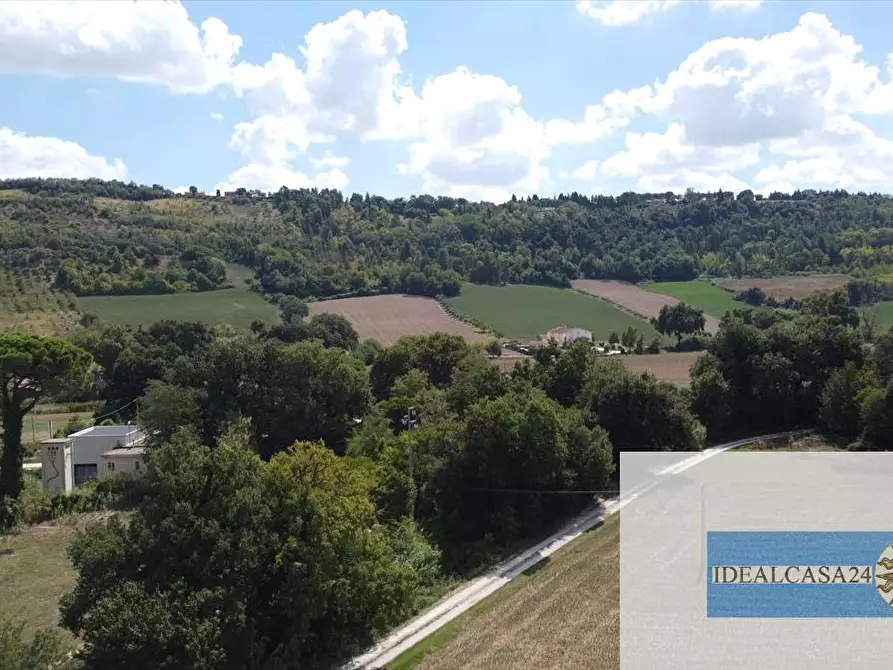 Immagine 4 di Terreno agricolo in vendita  in Macerata Contrada Potenza 33 a Macerata