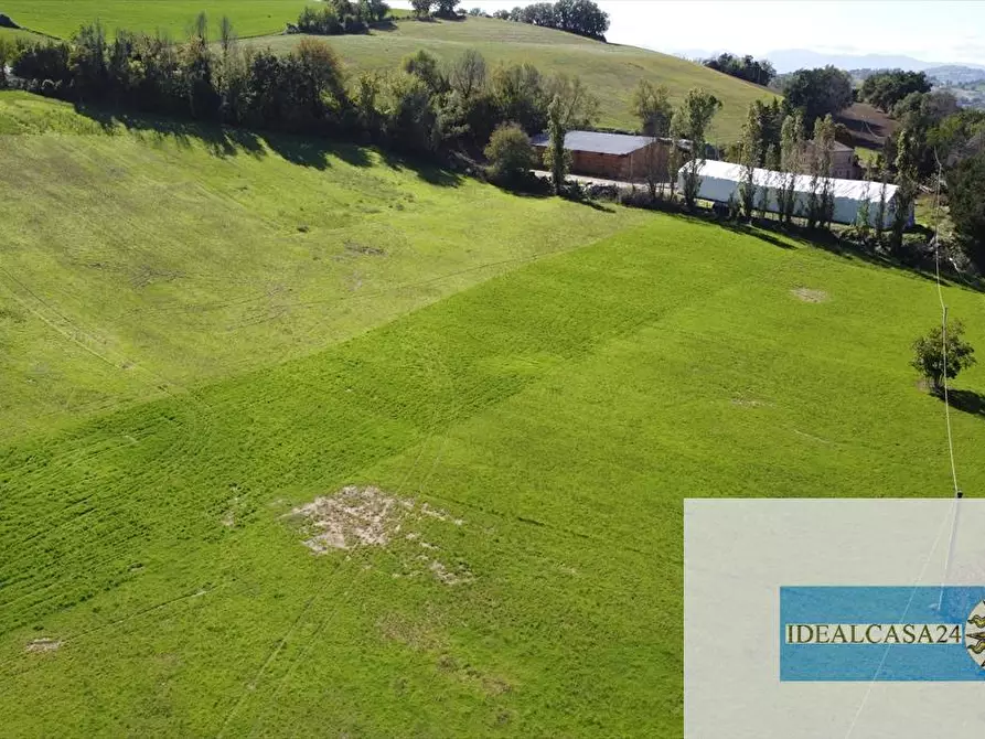 Immagine 3 di Terreno agricolo in vendita  in Corridonia Contrada Ponte tavola a Corridonia