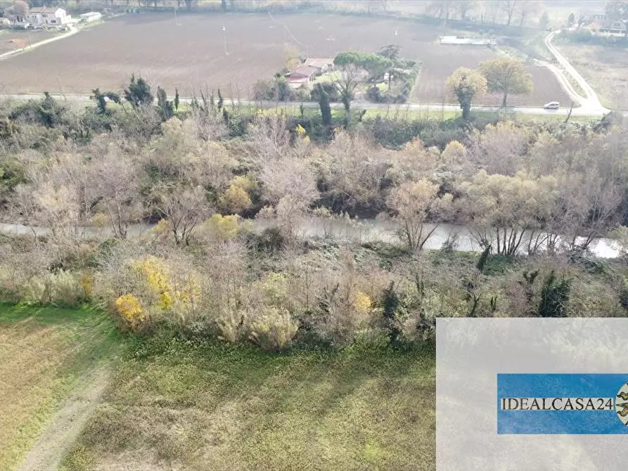 Immagine 7 di Terreno agricolo in vendita  in Treia C.da Chiaravalle snc a Treia