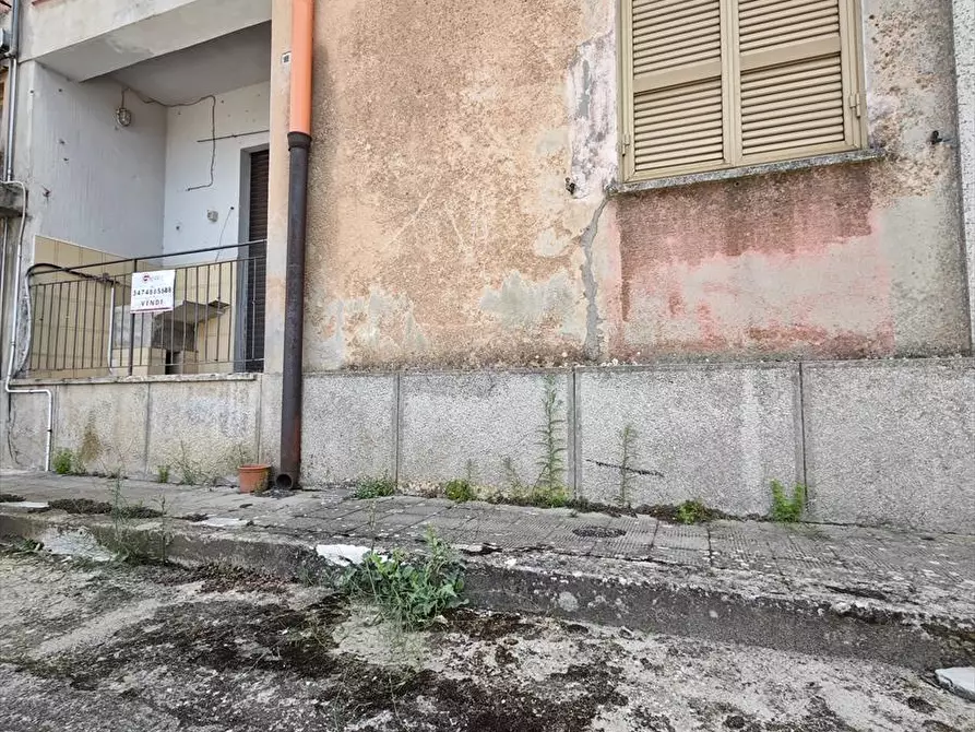Immagine 3 di Appartamento in vendita  a Cittanova