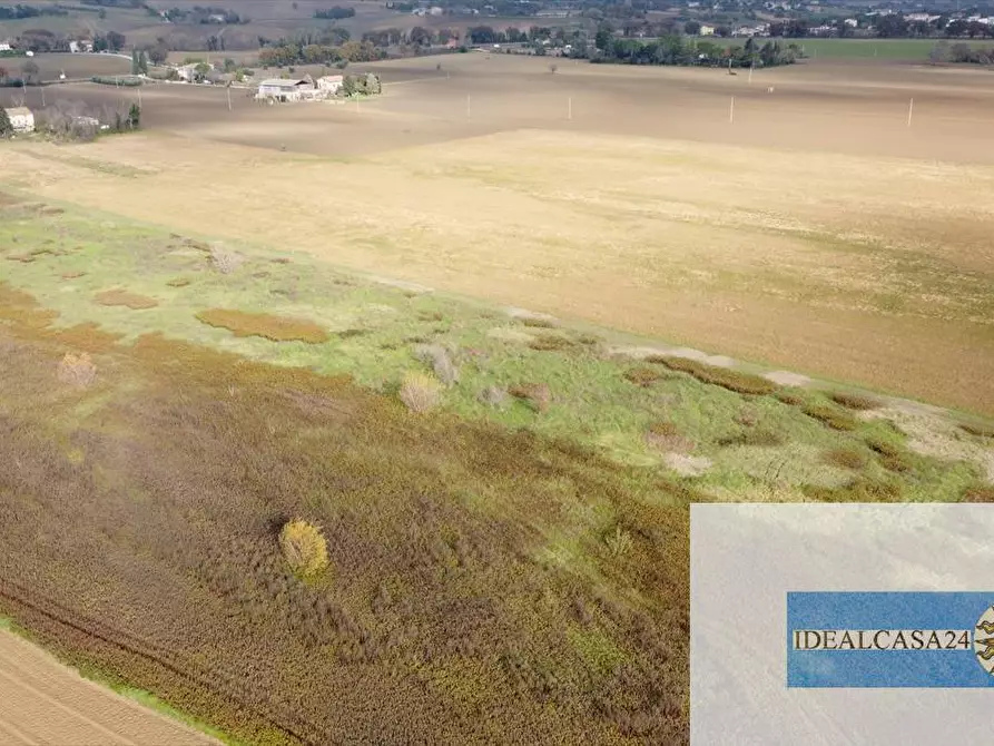 Immagine 18 di Terreno agricolo in vendita  in Treia C.da Chiaravalle snc a Treia