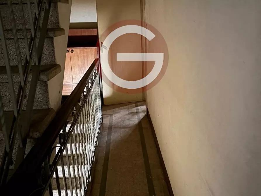 Immagine 12 di Casa indipendente in vendita  a Cittanova