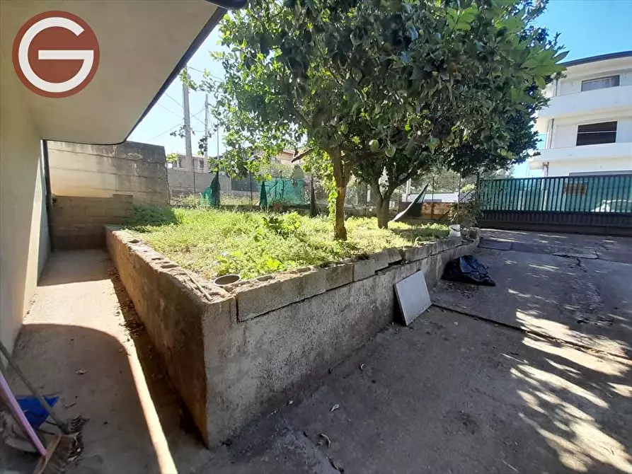 Immagine 22 di Appartamento in vendita  a Taurianova