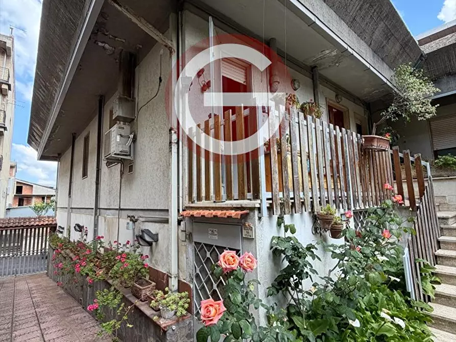 Immagine 30 di Casa indipendente in vendita  a Cinquefrondi