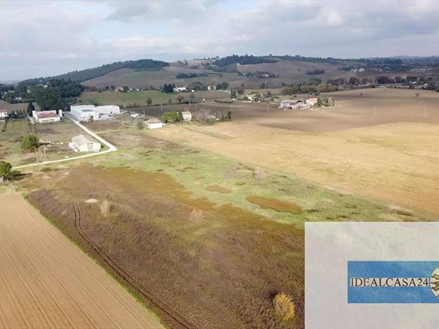 Immagine 17 di Terreno agricolo in vendita  in Treia C.da Chiaravalle snc a Treia