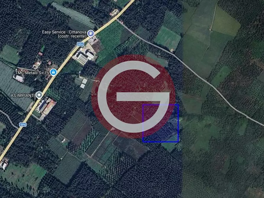 Immagine 2 di Terreno agricolo in vendita  a Cittanova