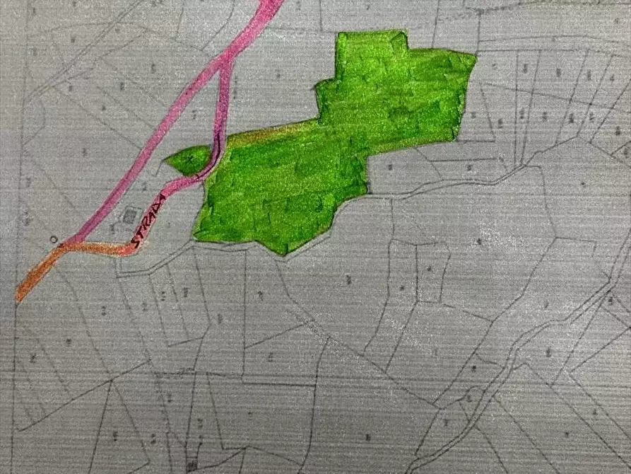 Immagine 6 di Terreno agricolo in vendita  in contrada Sotto La Rocca a Prizzi