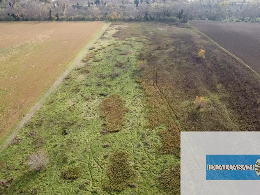 Immagine 1 di Terreno agricolo in vendita  in Treia C.da Chiaravalle snc a Treia