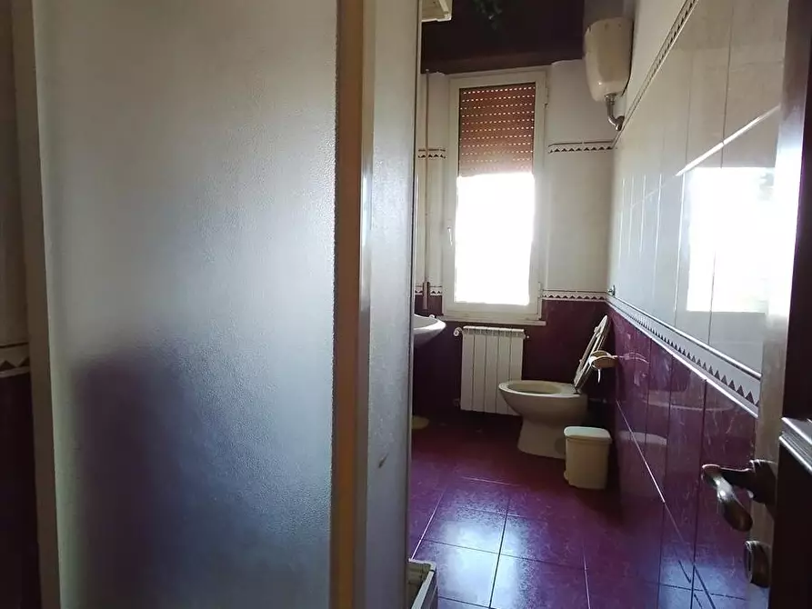 Immagine 6 di Appartamento in vendita  a Cinquefrondi