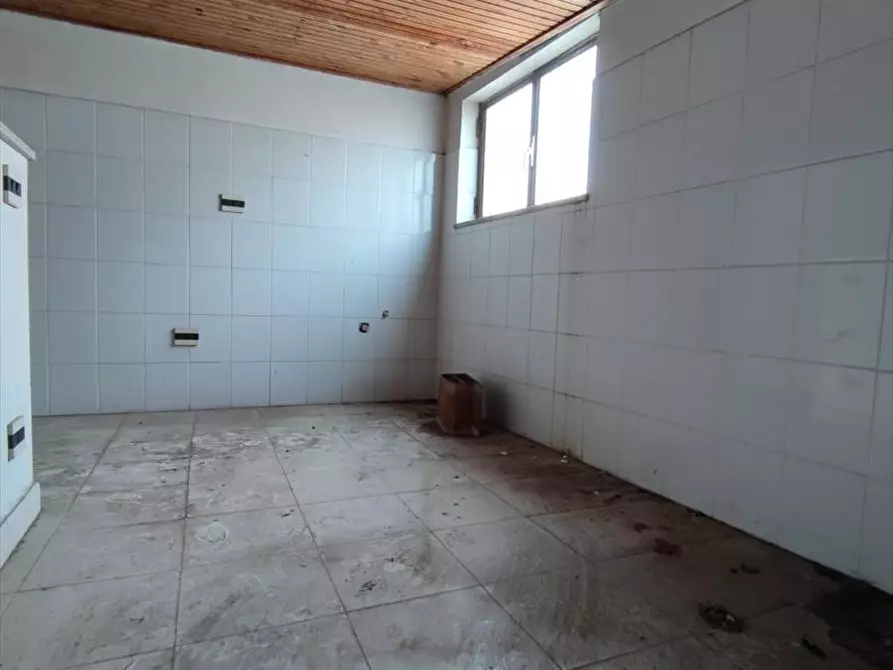 Immagine 8 di Appartamento in vendita  a Cittanova