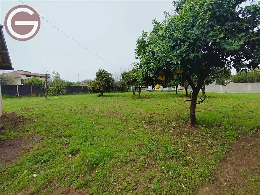 Immagine 4 di Terreno edificabile in vendita  a Taurianova