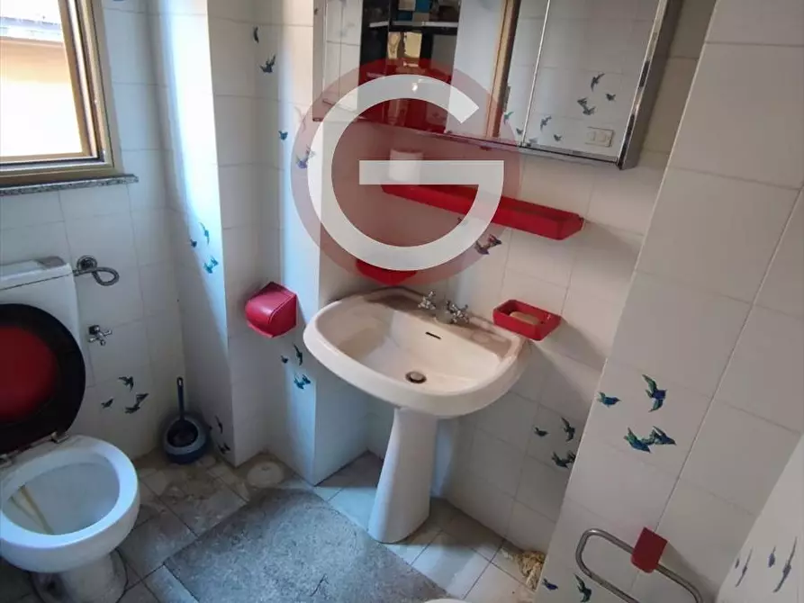 Immagine 15 di Casa indipendente in vendita  a Cittanova