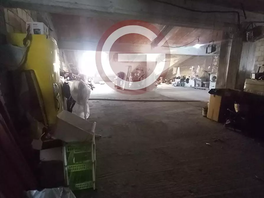 Immagine 19 di Casa indipendente in vendita  a Cittanova