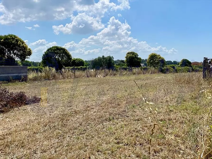 Immagine 2 di Terreno edificabile in vendita  in Via Dei Gladioli a Ardea